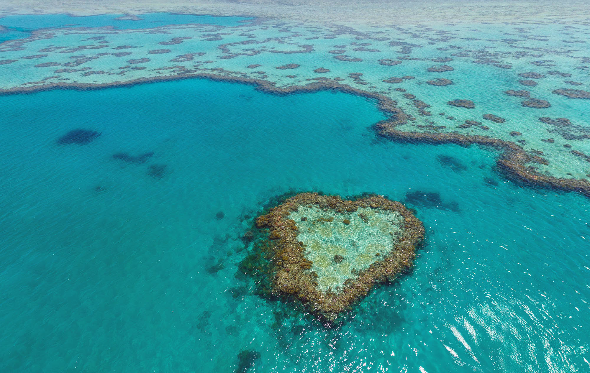  heart-shape great barrier reef
